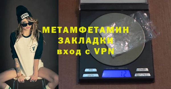индика Богданович