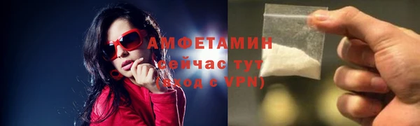 индика Богданович