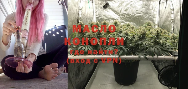 индика Богданович