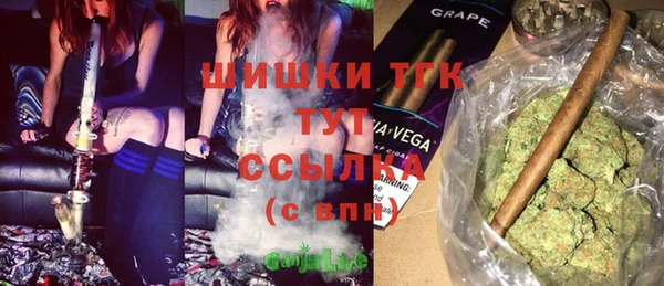 индика Богданович