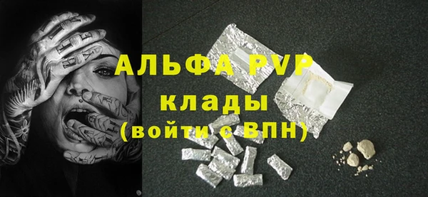 индика Богданович