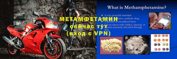 индика Богданович