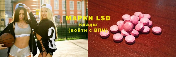 индика Богданович