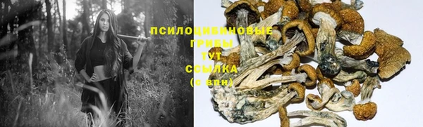 твердый Белокуриха